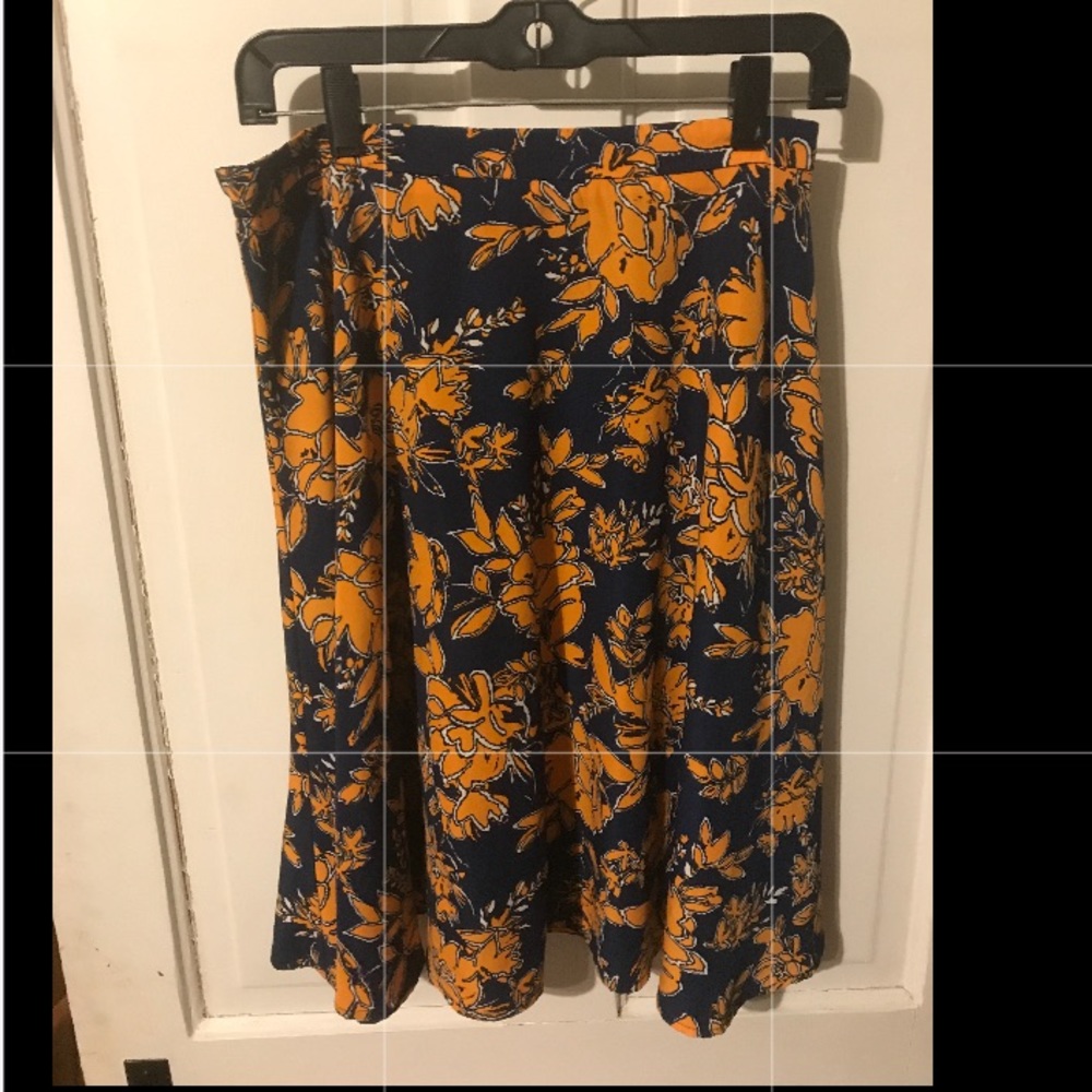 Brixon Ivy A-line skirt